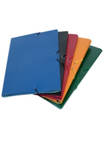 CARPETA CARTON PLASTIFICADO...