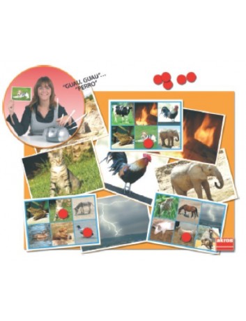 LOTO SONORO BINGO+CD...