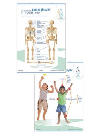 LAMINES D'ANATOMIA 70x100 -...