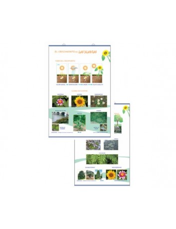 LAMINAS PLANTAS- 70x100cm -...