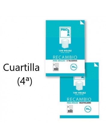 RECAMBIO 100 HOJAS